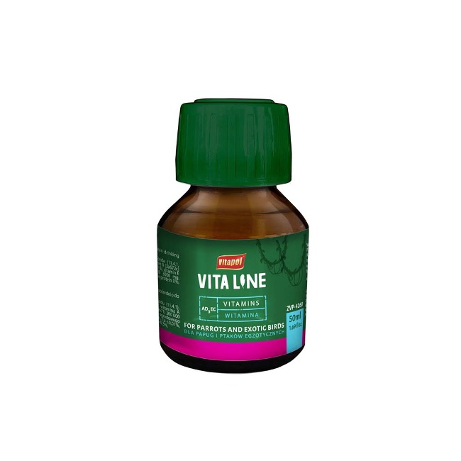 비타폴 비타라인 비타민 AD3EC  50ml /바이러스억제/감기예방/건강밸런스